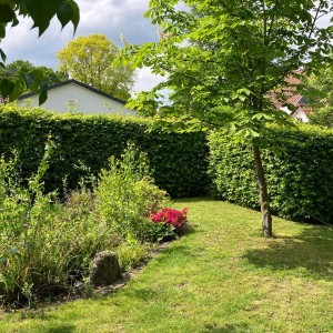 One of six/Verbringen Sie Ihren Urlaub in einem gemütlichen Nurdachhaus in Hüde am Dümmer-See