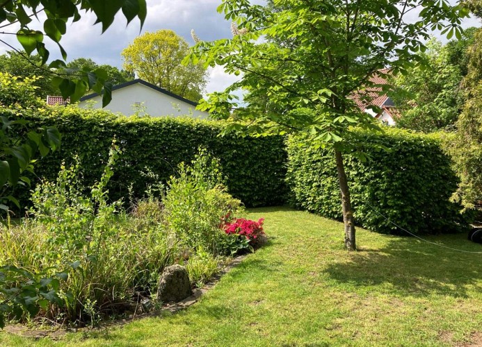 One of six/Verbringen Sie Ihren Urlaub in einem gemütlichen Nurdachhaus in Hüde am Dümmer-See