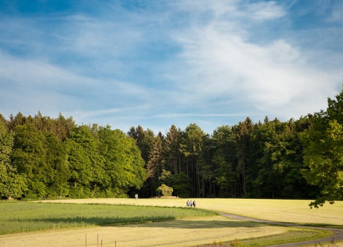 Berggasthof auf dem Stemweder Berg Domizil 1