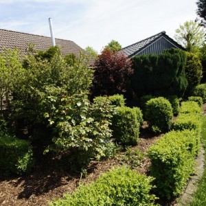 Dümmerglück gemütliches und im skandinavischen Still eingerichtetes Holzhaus 