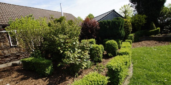 Dümmerglück gemütliches und im skandinavischen Still eingerichtetes Holzhaus 