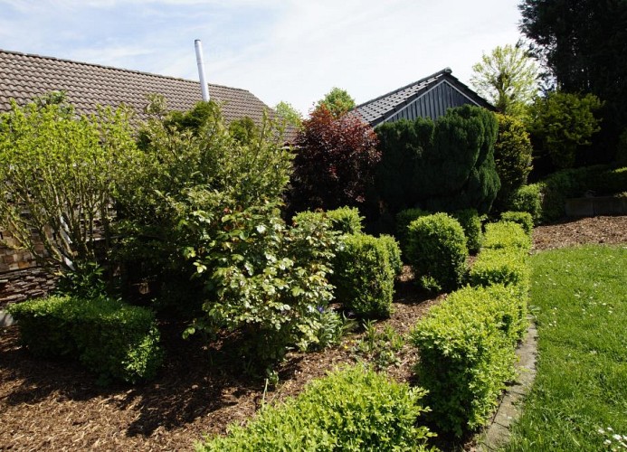 Dümmerglück gemütliches und im skandinavischen Still eingerichtetes Holzhaus 