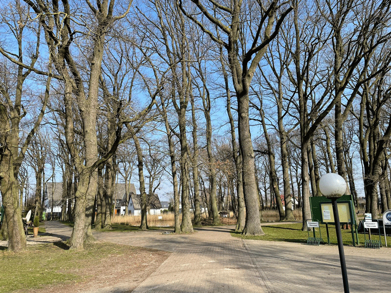 Naturpark am Dümmer See