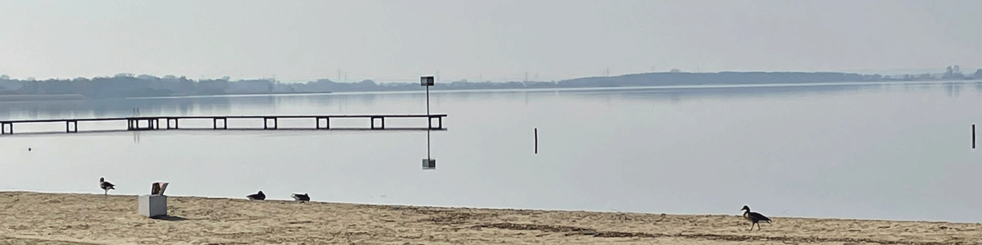 Strandurlaub am See Dümmer in Niedersachsen