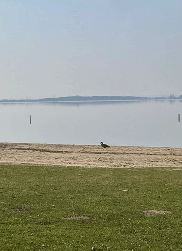 Strandurlaub auf Wangerooge