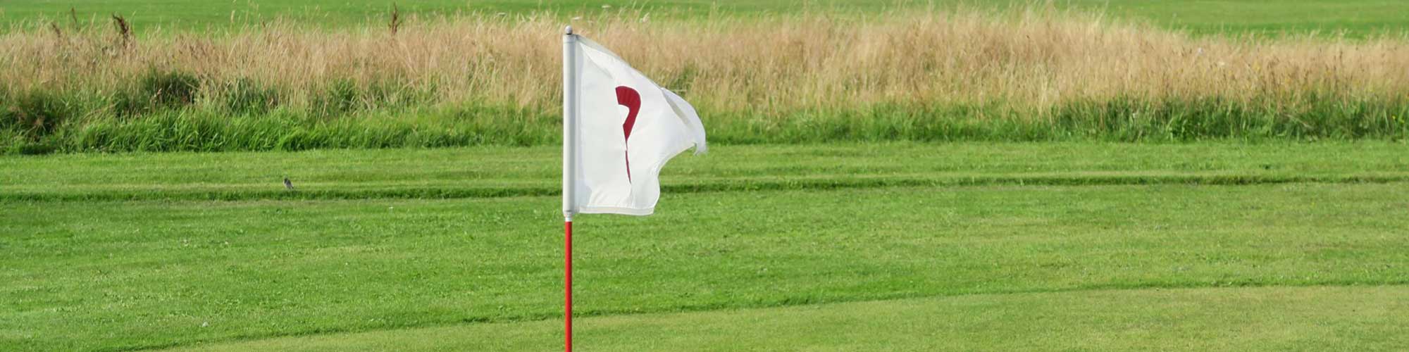 Golfen am Dümmer in Niedersachsen